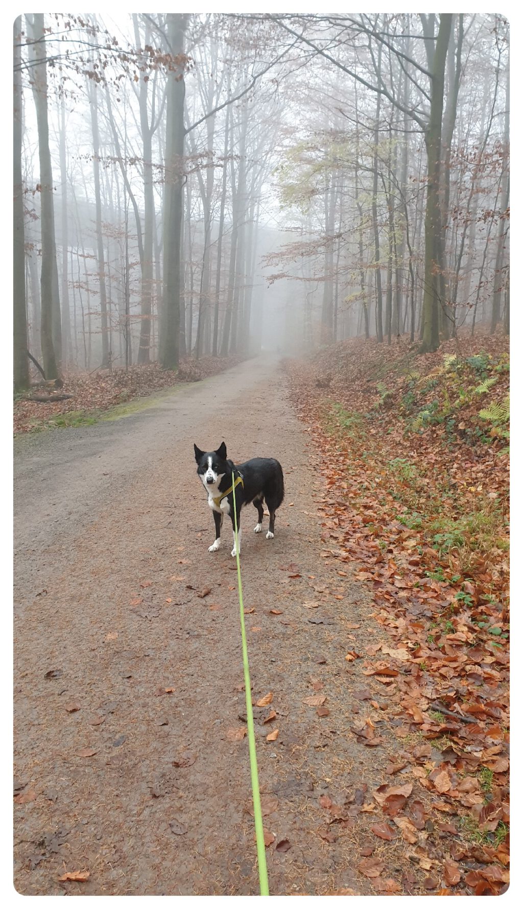 Elsa_Nebel009-20211123