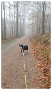 Elsa_Nebel009-20211123